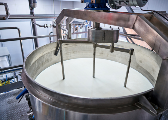 View of milk in a large metal container inside of a processing facility