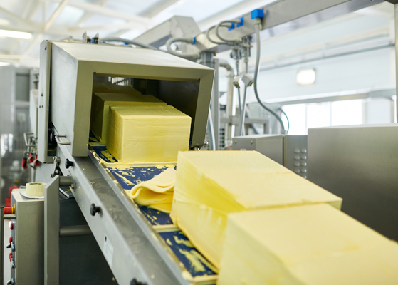 Close view of butter moving along a conveyor system at the MMPA butter plant