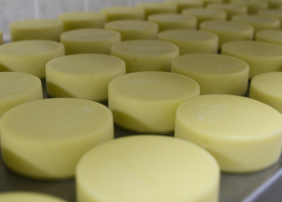 Close up view of cheese moving along a processing plant system